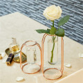 Vases de tube en verre transparent en métal en or rose